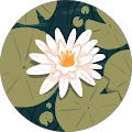 Hailee Sipe Avatar